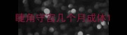 睫角守宫几个月成体