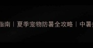 哈士奇中暑急救指南夏季宠物防暑全攻略中暑症状与处理方法