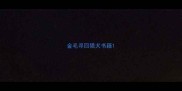 金毛寻回猎犬书籍