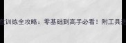 边境牧羊犬飞盘训练全攻略零基础到高手必看附工具选择与训练步骤