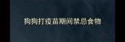 狗狗打疫苗期间禁忌食物