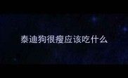 泰迪狗很瘦应该吃什么