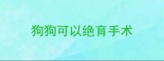 狗狗可以绝育手术