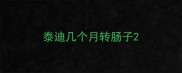 泰迪几个月转肠子