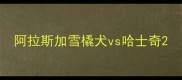 阿拉斯加雪橇犬vs哈士奇