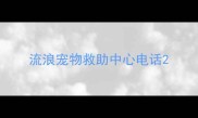 流浪宠物救助中心电话