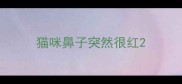 猫咪鼻子突然很红