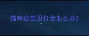 猫咪疫苗没打全怎么办