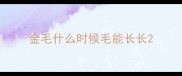 金毛什么时候毛能长长