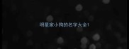 明星家小狗的名字大全