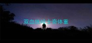 双血统哈士奇体重