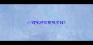 小狗接种疫苗多少钱