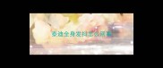 泰迪全身发抖怎么回事