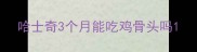 哈士奇3个月能吃鸡骨头吗