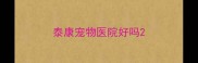 泰康宠物医院好吗