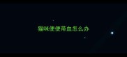 猫咪便便带血怎么办