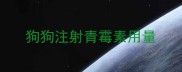 狗狗注射青霉素用量