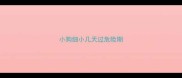 小狗细小几天过危险期