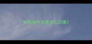 狗狗指甲发黑怎么回事