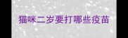 猫咪二岁要打哪些疫苗