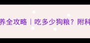6个月金毛幼犬喂养全攻略吃多少狗粮附科学喂养避坑指南