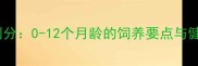 幼犬阶段划分0-12个月龄的饲养要点与健康管理全