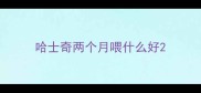哈士奇两个月喂什么好