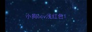小狗ccv浅红色
