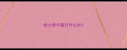 哈士奇中暑打什么针