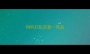 狗狗打疫苗要一周后