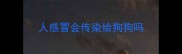 人感冒会传染给狗狗吗