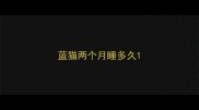 蓝猫两个月睡多久
