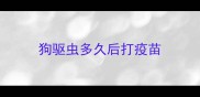 狗驱虫多久后打疫苗