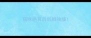 猫咪绝育后后脚抽搐
