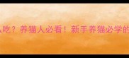 猫咪肠胃宝怎么吃养猫人必看新手养猫必学的5大肠胃调理攻略