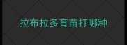 拉布拉多育苗打哪种