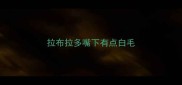 拉布拉多嘴下有点白毛
