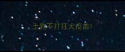 土狗不打狂犬疫苗