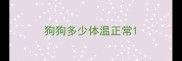 狗狗多少体温正常