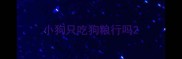 小狗只吃狗粮行吗