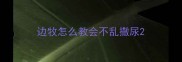 边牧怎么教会不乱撒尿