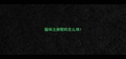 猫咪注册昵称怎么填
