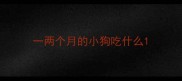 一两个月的小狗吃什么