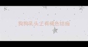 狗狗乳头上有褐色结痂