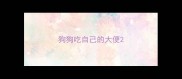 狗狗吃自己的大便