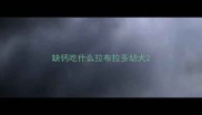 缺钙吃什么拉布拉多幼犬