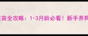 金毛犬疫苗全攻略1-3月龄必看新手养狗家长必存