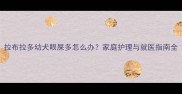 拉布拉多幼犬眼屎多怎么办家庭护理与就医指南全