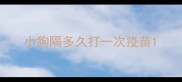 小狗隔多久打一次疫苗
