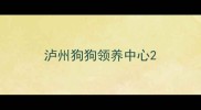 泸州狗狗领养中心